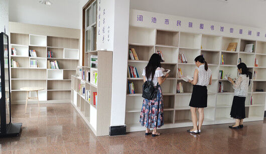 河池市民族图书馆街道阅读点